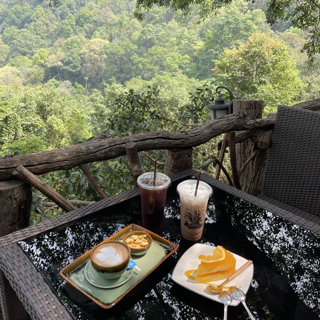 거대한 나무와 마운틴뷰를 즐길 수 있는 The giant chiang mai thailand cafe