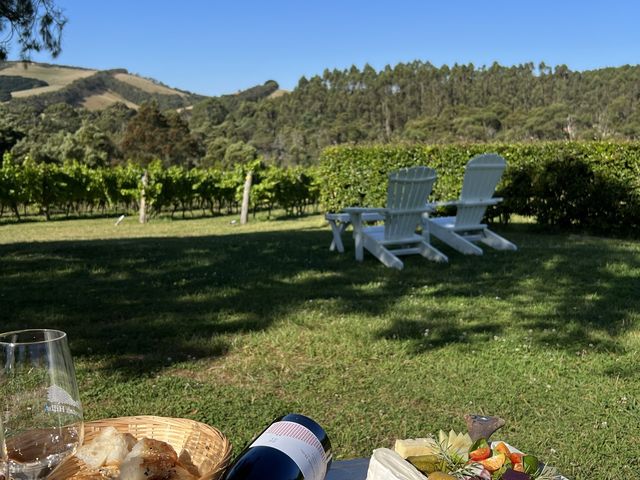 墨爾本酒莊野餐啦Waratah Hills Vineyard～😍不一樣的體驗😙酒莊，logo設計靈感來自於原住民