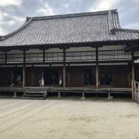 京都観光　金閣寺　龍安寺　法観寺 八坂の塔