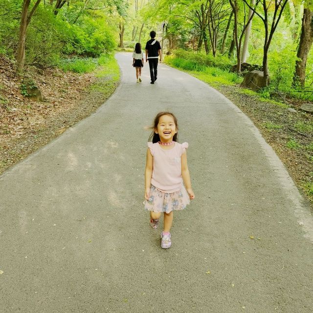 봄을 지나 여름이 오는 비슬산 초록초록 산책로