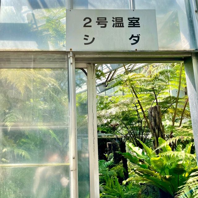 熱帯植物の楽園　熱海バナナワニ園