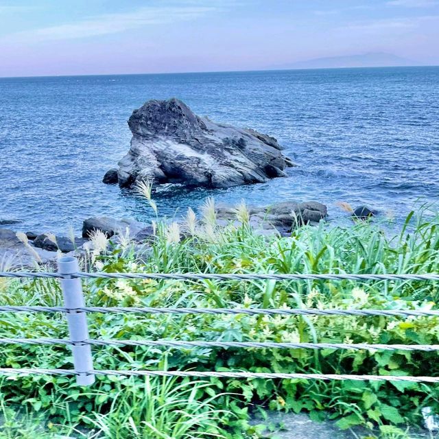 道の駅グランパルポート　有名な廃墟「西湖園」