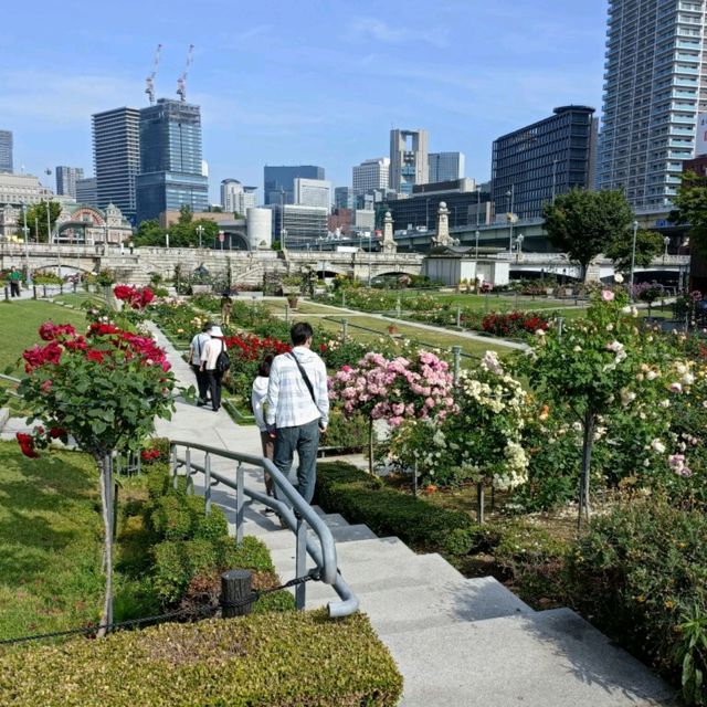 Beautiful Rose Garden in Osaka 