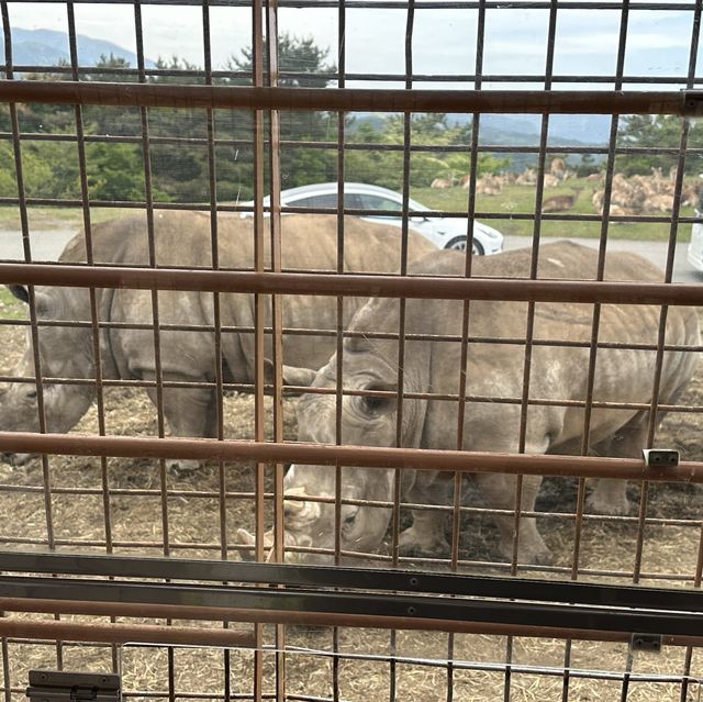 親親大動物 - 九州自然動物園