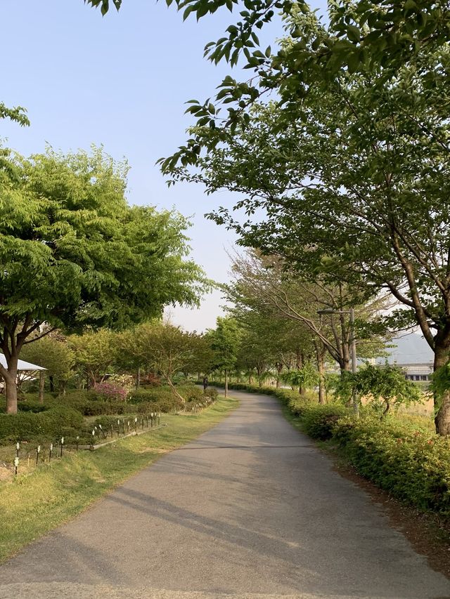 순천여행 필수코스 국제정원박람회가 열리고 있는 순천만공원