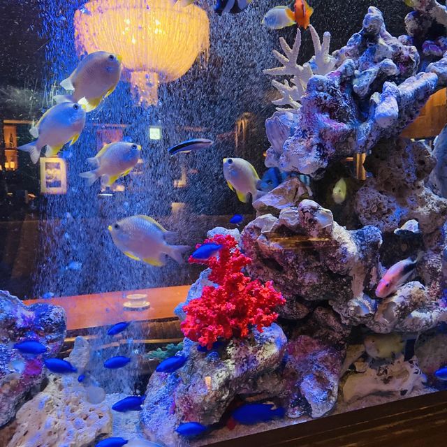 癒しのアクアリウム✨パン食べ放題の美味しいイタリアンin大阪