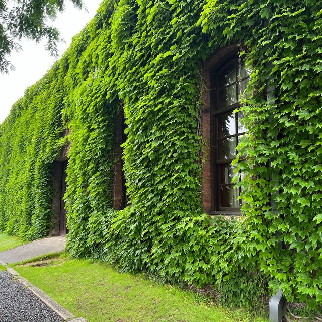【岡山】ここはハズせない！倉敷美観地区