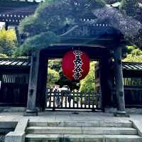 Sightseeing at Hase-dera Temple 