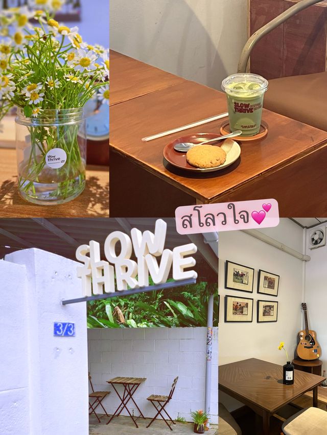 Slow Thrive 💙🌿 สโลวใจ ไม่ไปไม่ได้แย้ว😃~