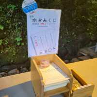 【京都観光】暑い夏は貴船の川床で涼しもう🌞👌