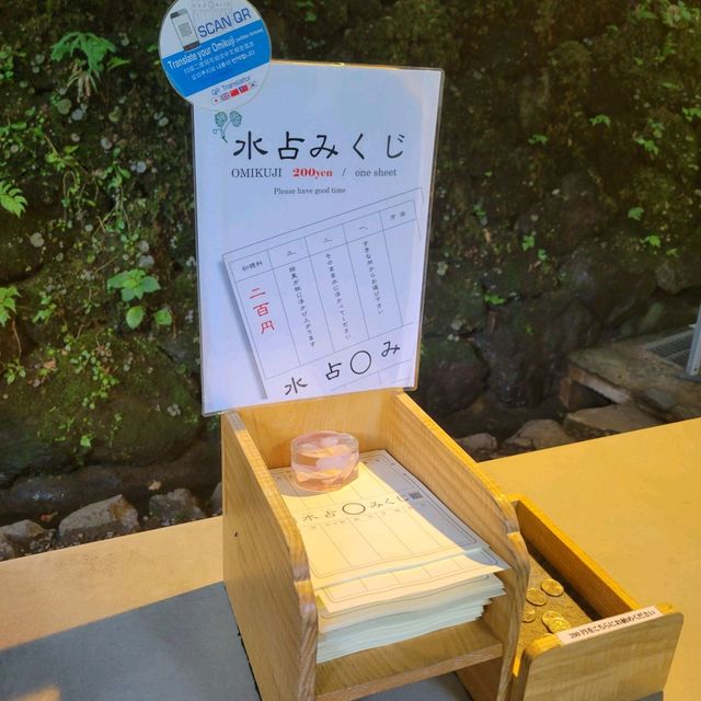 【京都観光】暑い夏は貴船の川床で涼しもう🌞👌