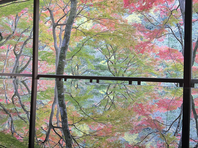 【京都 秋の嵐山】祐斎亭