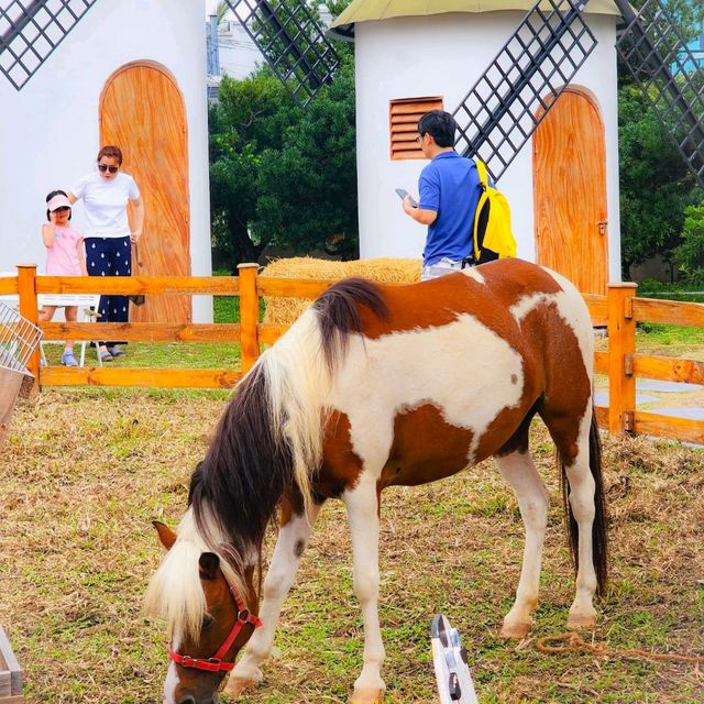 Looking for Animal Friendly Cafe?