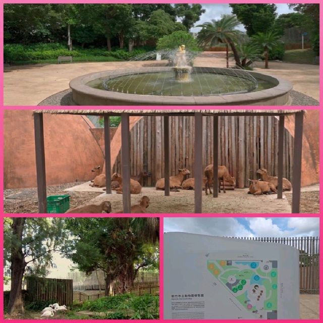 新竹市立動物園