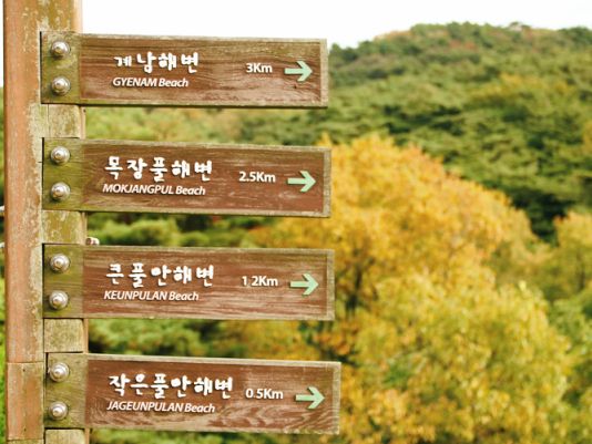 알록달록 단풍 가득 인천 대이작도 부아산 