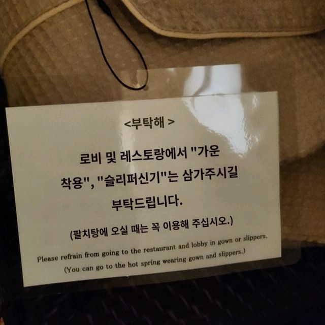 일본 후쿠오카 여행 여자혼자 혼여하기 좋은 호텔 추천🌱