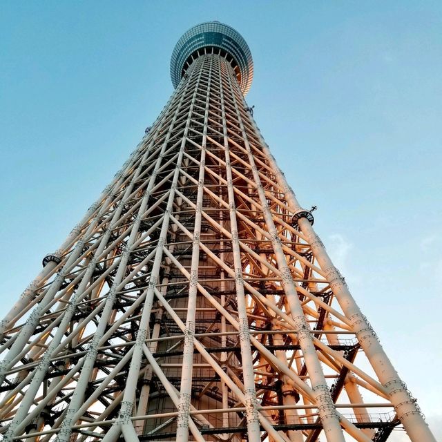 【東京のシンボル】東京スカイツリー