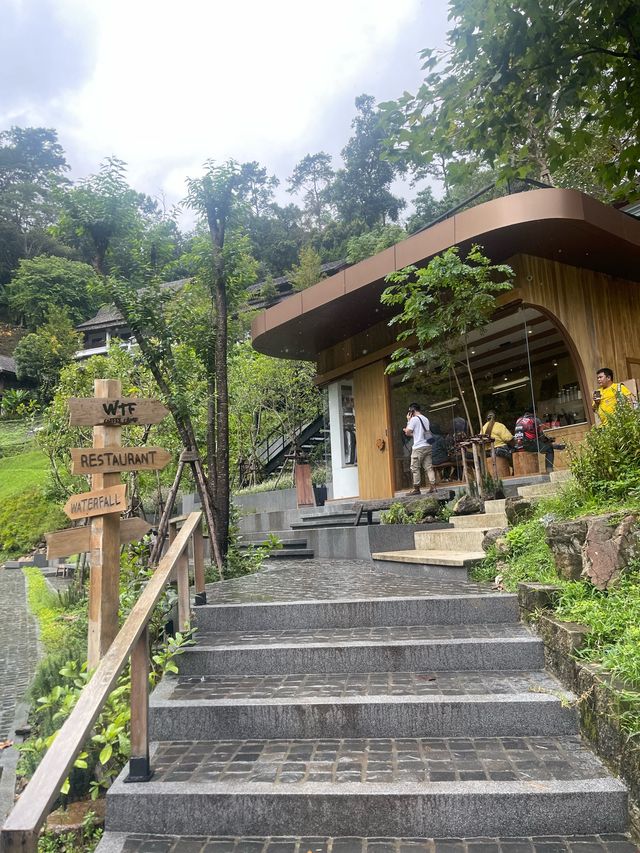wtf cafe’ camp 🏕️🌳