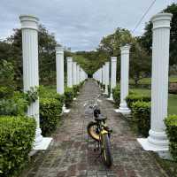 Immerse in nature at Taiping Lake