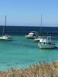 西澳的Rottnest Island：水清沙幼沙灘與微笑袋鼠的天堂！🏝️🌊🦘