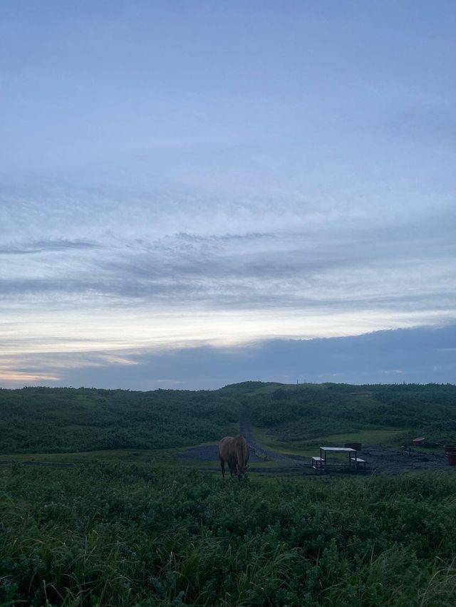해질녘 필수코스! 섭지코지⛰️