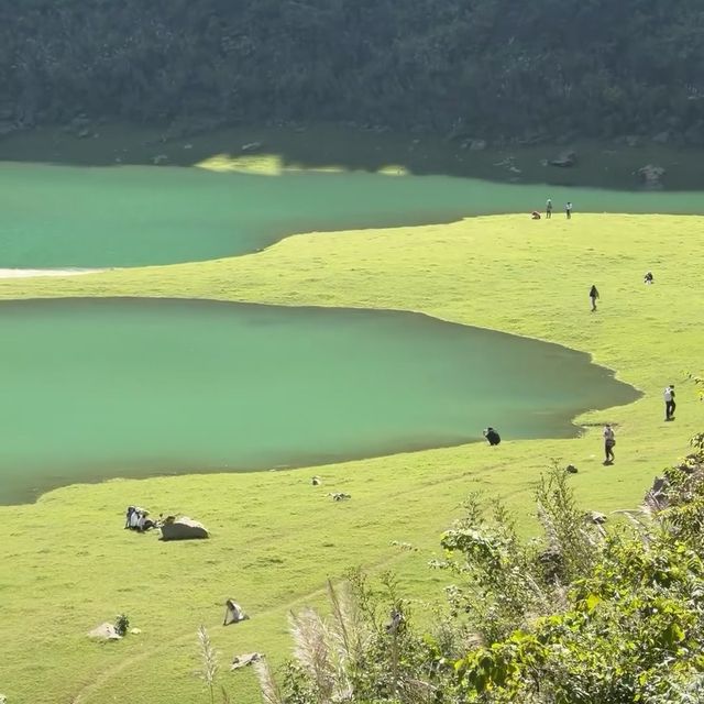 蘇家圍•東江畫廊旅遊景區 🖌️🏞️彩虹世界🌈🎨