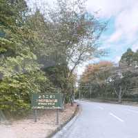 九州 ｜自駕遊亞洲版Safari 🐅🐆🦓🐘🦬🐫🐑