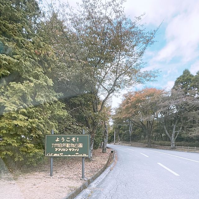 九州 ｜自駕遊亞洲版Safari 🐅🐆🦓🐘🦬🐫🐑