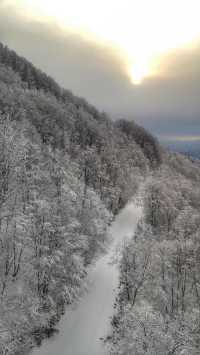 日本東北雪季奇景，山形縣藏王冰樹