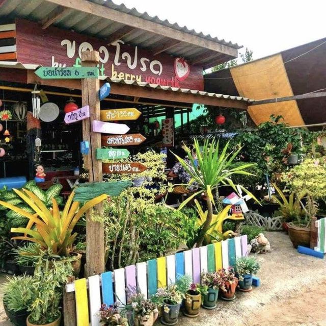 ร้านของโปรด