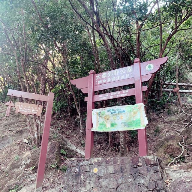 栢架山道自然徑➡️大潭水塘➡️淺水灣 栢架山道自然徑➡️大潭水塘➡️淺水灣