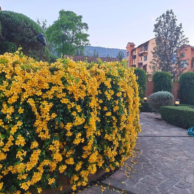 toscana เขาใหญ่