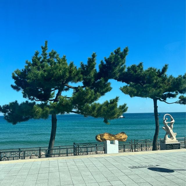 기차 한면이 모두 통유리! 기차타고 떠나는 바다 여행 코스🚃