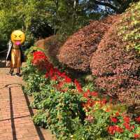 日本最早嘅法國式庭園🌸🌺🌼🪷🥀🌹🌷