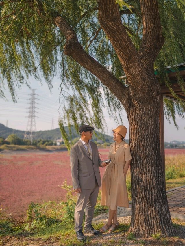 유럽정원에 온 듯한 풍경을 가진 "소래습지생태공원"