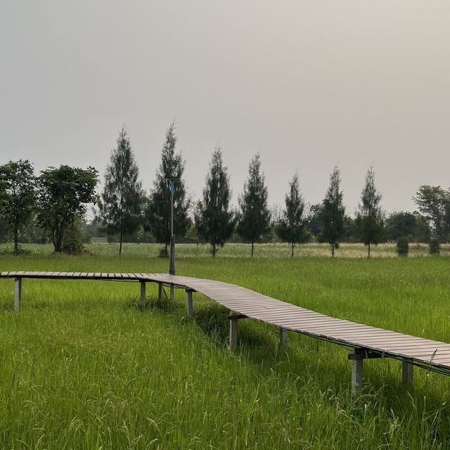 ภูผาม่านโฮมสเตย์