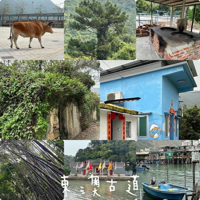 東澳古道😎大澳必經之路❤️東涌行山一日遊🫶🏻
