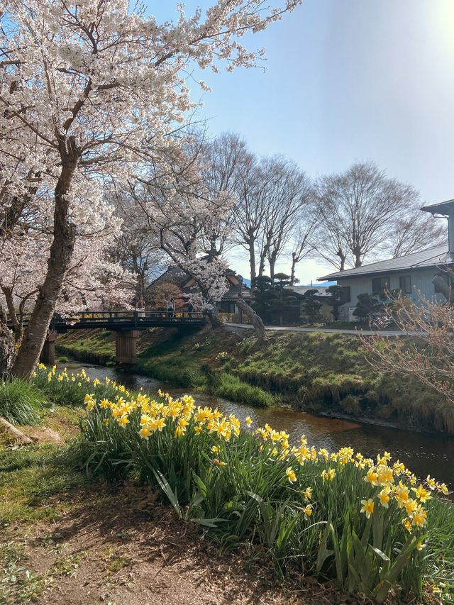 Oshino Hakkai Village