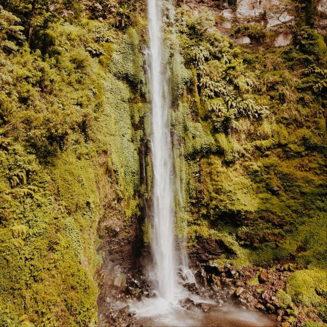 Coban Rondo Waterfall, Malang