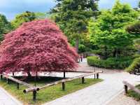 สวนสาธารณะกิฟุ (Gifu Park)🌳🌿