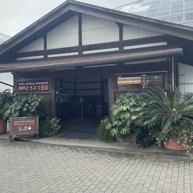 【動物全接觸】神戶動物王國🦚