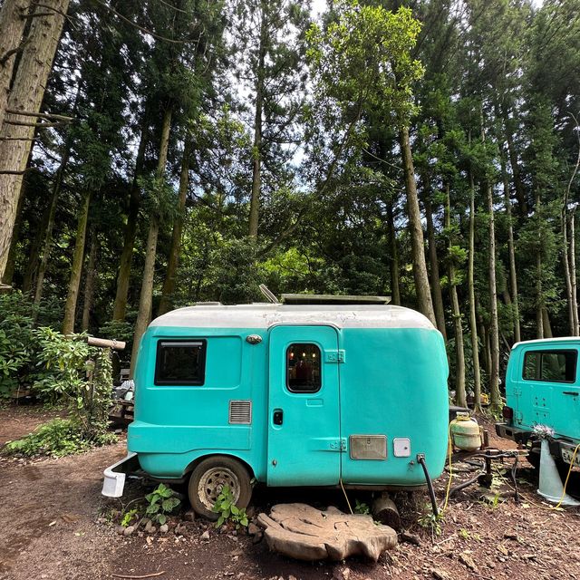 Secret Forest