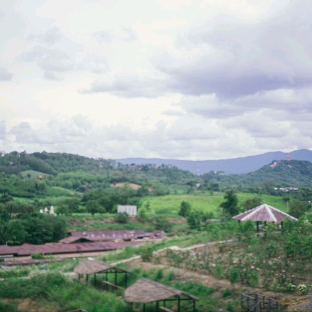 ฟลาวเวอร์เมาน์เทน เขาใหญ่