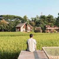 บ้านนาก๋างโต้ง Baan Na Kang Tong 🌾 จ. น่าน