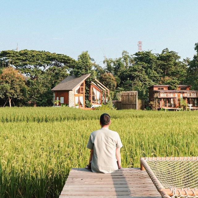 บ้านนาก๋างโต้ง Baan Na Kang Tong 🌾 จ. น่าน