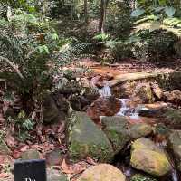 The Lush Cafe @ Gunung Lambak