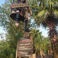 去廸廸尼要做準備