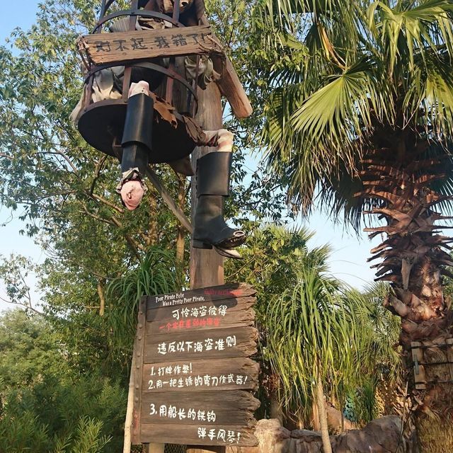 去廸廸尼要做準備