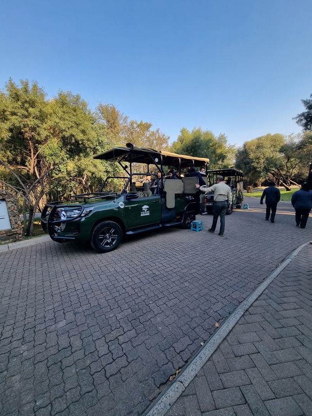 The Safari Drive At Pilanesberg National Park