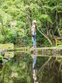 【佐賀県/唐津市】まるで京都なリフレクションの美しい庭園